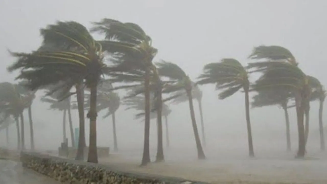 تقلبات جوية مرتقبة بنهاية الأسبوع تحمل رياحاً وأمطاراً وثلوجاً في عدة مناطق وتوقعات متباينة للأرصاد